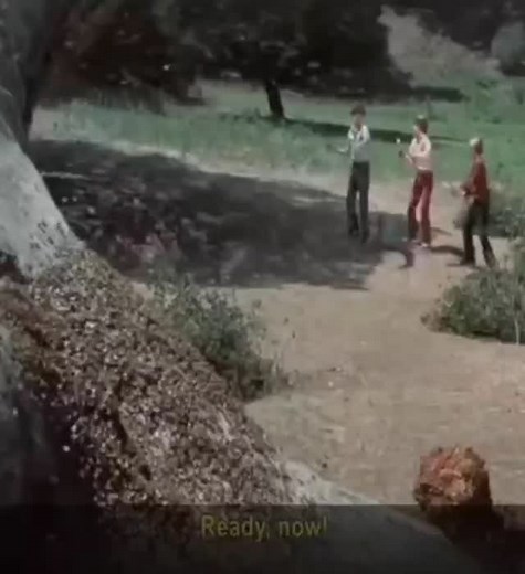 Teasing the bees and the end #films | Josey Gitau.