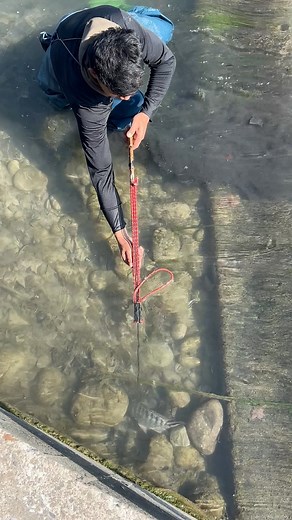 Tough scale like body armor | KaFuji Master