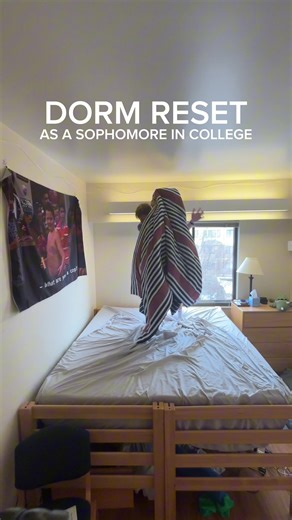 Sophomore Dorm Reset Ideas for College Students