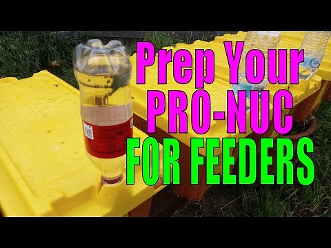 Using Feeders on the Pro-Nuc Boxes
