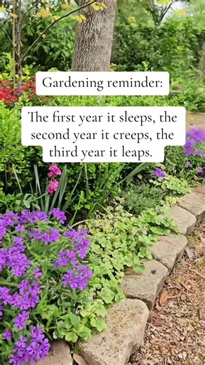 Fall Gardening Tips for Beginners in Houston