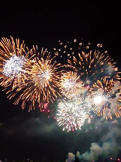 Veedhya Veeds (@veedhyaveeds)’s videos with Fireworks Display Show (Firework New Year Years Eve 4th of July Explosion Exploding Noise Clip) [Sound Effect] - Finnolia Sound Effects