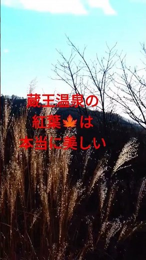 🍁蔵王へ行ったらロ-プウェイから眺める夕日に染まる紅葉の世界へ、360度のパノラマは圧巻