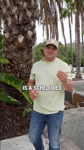 Do Palm Trees Damage Your Pool?! | Trees to Avoid With A Pool