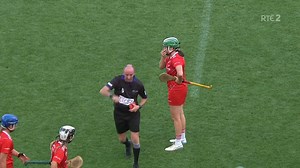 'There was funny decisions on both sides... but on balance, I think they evened out each other' - the panel assess the refereeing performance #camogie | The Sunday Game