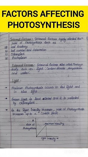Factors Affecting Photosynthesis 🌿 | Class 11 Biology | NEET 2026 | Handwritten Notes #biology #neet
