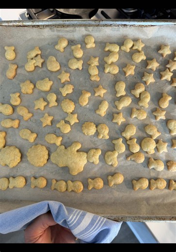 White Cheddar Goldfish (10/10 Batch!) Ingredients: 1 cup flour 8 oz mild white cheddar cheese (we used the white kind) 4 tbsp cold butter, cut into small pieces 3 to 4 tbsp ice water Salt (for topping) Directions: 1. Preheat oven to 350°. Line a baking sheet with parchment paper. 2. Mix the flour, white cheddar, and cold butter together until crumbly while Slowly adding in the ice water 1 tablespoon at a time. Once the dough holds together when you squeeze it in your hand, you’re good to go. 4. 