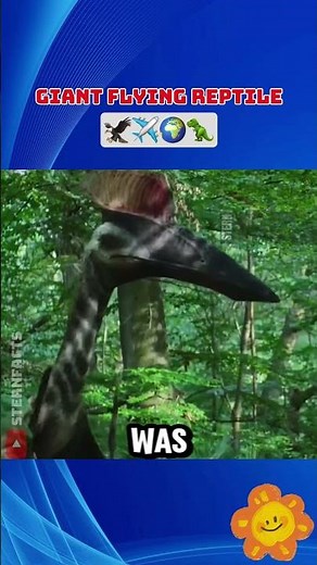 The Largest Flying Creature in Earth's History