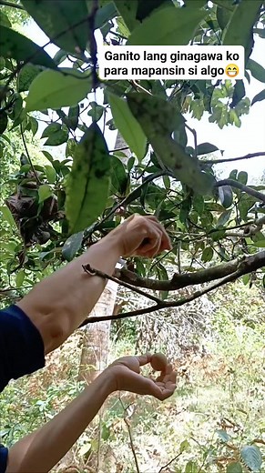 478K views · 10K reactions | Content creator #algorithm #highlightseveryonefollowers2025highlightseveryonefollowers2025 #fbyシfb #fbyシreelsviral #trendingreelsvideo #reelsvideoシ #facebookpost #reelsfbシ #virals #trendingreels | Elena Tupas | Facebook