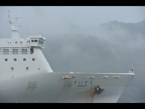 新日本海フェリー「すいせん」が因島に来た 令和7年4月23日