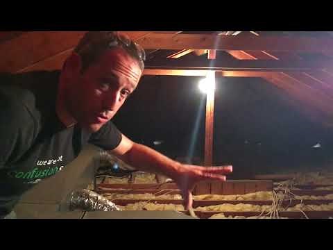 How to Get Rid of Rodents In The Attic