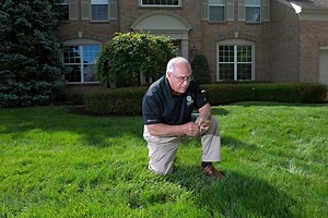 9 Reasons You May Not Get Rid of Weeds in Your Lawn and What to Do