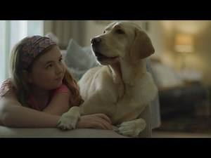 A Dog I'm Not | Dogs Inc