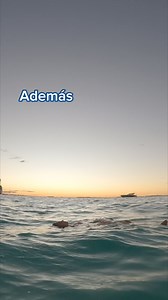 206K views · 915 reactions | Resorts, hoteles y casas. Elige entre más de 28 millones de ofertas. | Booking.com | Facebook