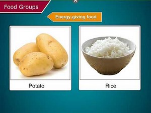 Food Groups - Science Class 5