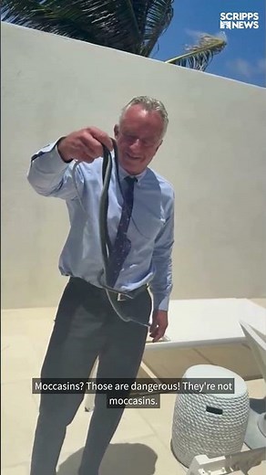 Robert F. Kennedy Jr. grabs snakes bare‑handed in Florida