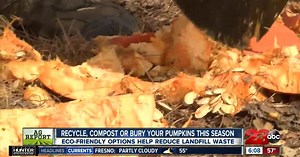 Sustainable ways to dispose pumpkins
