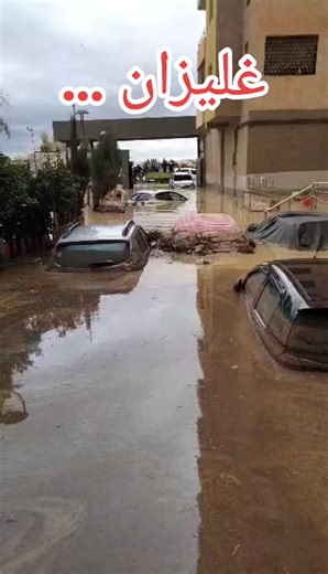 Vidéos de Amine Sac Relizane (@amine_sac_relizane) avec son original - Amine Sac Relizane