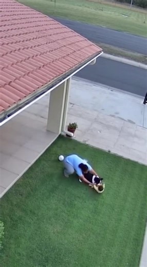 139K views · 1.5K reactions | Baby fall-down from the roof | xt.ton 01 | Facebook