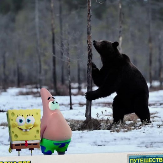 SpongeBob and Patrick Travel the World - RUSSIA | Paramount Pictures Russia