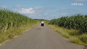 29 reactions | Bachiranun (2021 / Documentary, Drama / 61min)...