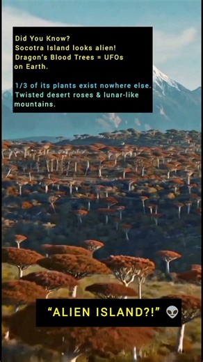 ‎“An island so alien, you won’t believe it exists! 🌍👽