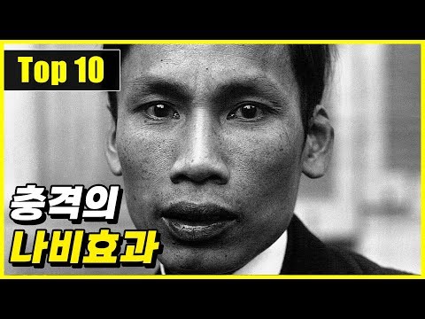 엄청난 결과를 불러온 20세기 나비효과 Top 10