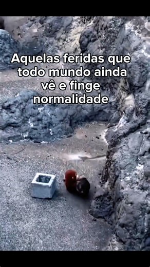 nada é por acaso