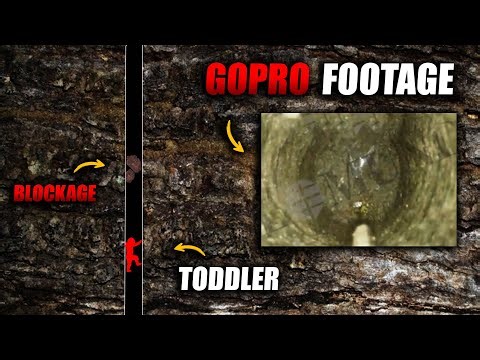 What These 2 Caving Tragedies Reveal About Hidden Cave Dangers?