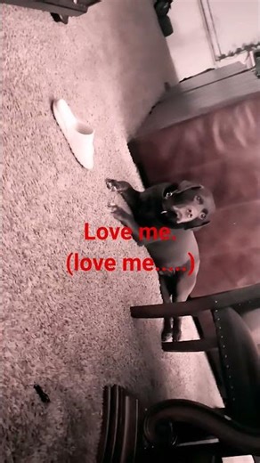 I spent too much time on this not to post, so😭😭😭 #chillowt