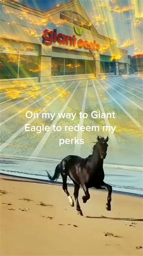 We ride at dawn 🐎 | Giant Eagle