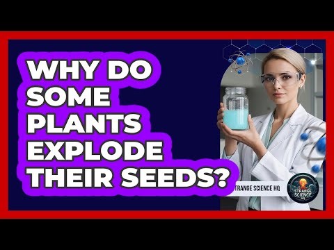 Why Do Some Plants Explode Their Seeds?
