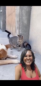 791K views · 19K reactions | Avatar #comédia � os top da Internet chegaram galera vamos ver � #videoviralシ #viralreelsfacebook #humorviral #comedia #humor #videosvirales #funnyreels #memes #dog #funnyvideos #petcare #petadoption #sustainableliving #animalrescue #petlove |#pets #animalwelfare | Celly Notícias & Fofocas & Reality Show | Facebook
