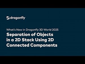 Separate Objects in 2D Stacks with Connected Components in Dragonfly 3D World