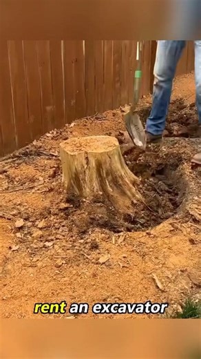 How to Pull Out a Tree Stump by Hand #stump #reelsfb #diyideas #fact | No Dummy Short
