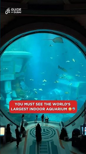 😳🐋 The World’s Largest Indoor Aquarium: SeaWorld Abu Dhabi