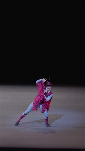 Flash Footage: Jerome Robbins' The Concert (Or, The Perils of Everybody) features a cast of quirky characters at a piano recital and their laugh-out-loud antics. Watch as Principal Dancer Roman Mejia makes his debut in this crowd-pleasing comedy portraying a character that transforms from a grumpy husband to a beguiled butterfly over the course of the ballet. Reserve your seats for the final performances of our Masters at Work I program this Friday and Saturday evening, October 9 and 10. Visit n