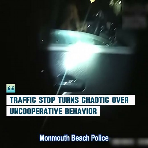 130K views · 1.4K reactions | Traffic Stop Highlights Importance of Cooperation Following Law Enforcement Instructions Learn the importance of following officer directions. #Police #BodyCam #TrafficSafety #ResponsibleDriving #CommunityAwareness #police #cops #Camscope | I Can’t Breathe Files | Facebook