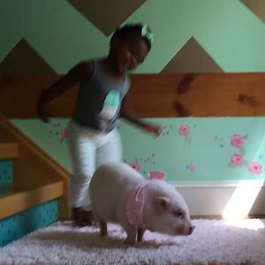 4K views · 83 reactions | I forgot how much she loved to dance with Pearl!! This video is so precious and so them! #libbyandpearllove #tbt | Live Sweet | Facebook