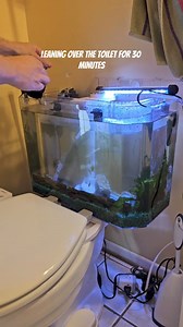 10K views · 41 reactions | I found a better way to clean the toilet fish tank #diy #aquarium #fishtok | Mechanically Incleyend | Facebook