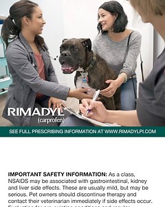 4.1K views | When it’s osteoarthritis (OA), RIMADYL® (carprofen) can help. Prescribing Information: https://bit.ly/2Cb8XDx | Zoetis | Facebook