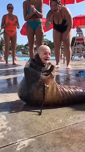 Poolside anomaly | AI Is Cursed