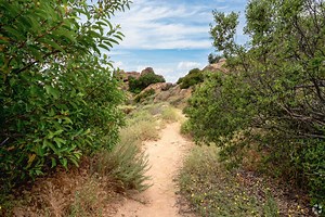 Living in Chatsworth, CA