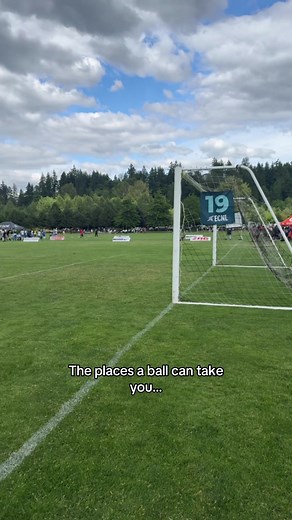 Exploring Seattle's Stunning Parks and Activities