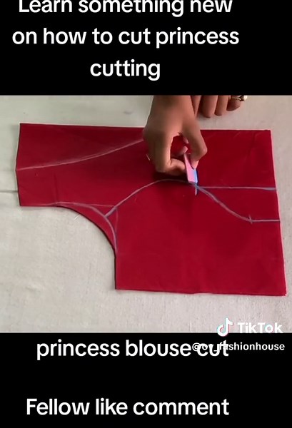 Learn How to Cut Princess Cutting | Blouse Sewing Tutorial