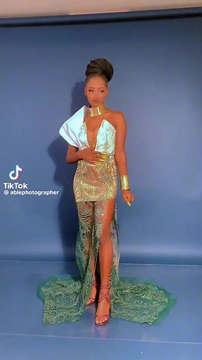 Stylish Sleeveless High-Neck Dress Showcase