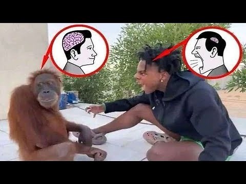 Perfectly Cut Screams 3