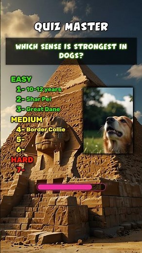 The Ultimate Dog Quiz! 🐶