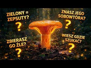 Zbierasz rydze od lat? Te 20 faktów udowodnią, że wciąż możesz się czegoś nauczyć