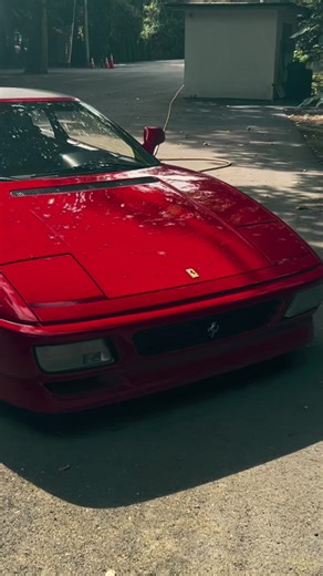 Exotic Quality on TikTok